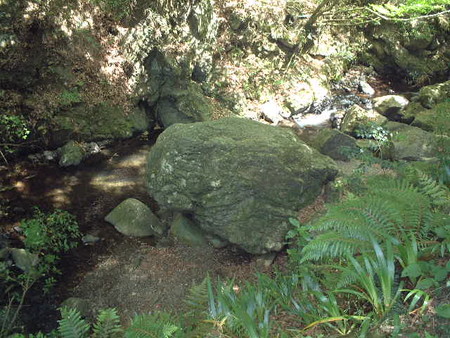 「かえる岩」牛尾山に入って最初に見えるのがこのかえるの形をした岩です。